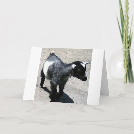 Baby Goat Karte (Vorderseite)