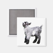 Baby Goat Nose in Air Magnet (Vorderseite/Rückseite)