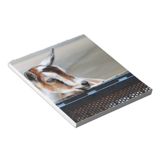 Baby Goat Notizblock (angewinkelt)