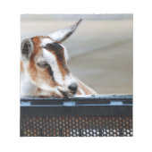 Baby Goat Notizblock (Vorderseite)