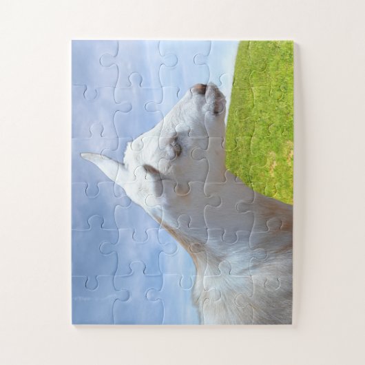 Baby Goat on a Farm Child Puzzle (Vertikal)