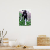 Baby Goat Poster (Küche)