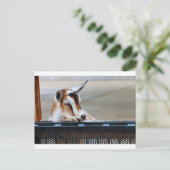 Baby Goat Postkarte (Stehend Vorderseite)