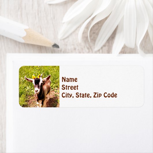 Baby Goat - Rücksendeadresse (Insitu)