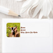 Baby Goat Rücksendeadressen-Aufkleber (Insitu)