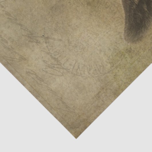 Baby Goat Socke Seidenpapier (Detail)