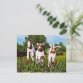 "Baby Goats" Postkarte (Stehend Vorderseite)