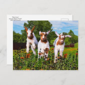"Baby Goats" Postkarte (Vorne/Hinten)