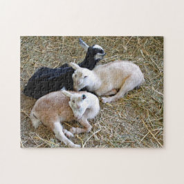 Baby Goats Sleeping Puzzle