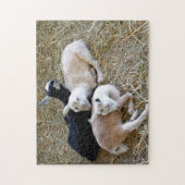 Baby Goats Sleeping Puzzle (Vertikal)