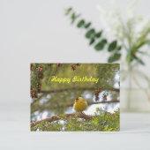 Baby Goldfinch Foto Postkarte (Stehend Vorderseite)