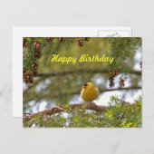 Baby Goldfinch Foto Postkarte (Vorne/Hinten)