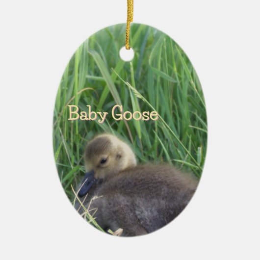 Baby Goose Ornament (Vorne)