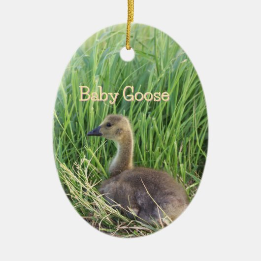 Baby Goose Ornament (Vorne)