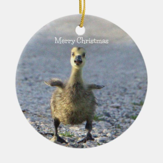 Baby Goose Ornament (Vorne)