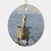 Baby Goose Ornament (Links)