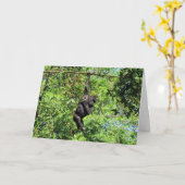 Baby Gorilla (2035) - Geburtskarte Karte (Gelbe Blume)