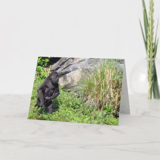 Baby Gorilla Birthday Card Karte (Vorderseite)