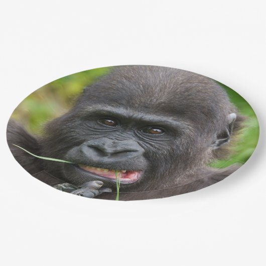Baby Gorilla Cutness Pappteller (Schrägansicht)