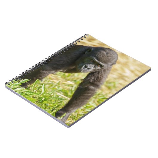 Baby Gorilla Notizblock (Linke Seite)