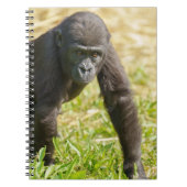 Baby Gorilla Notizblock (Vorderseite)