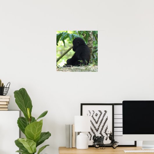 Baby Gorilla Poster (Heimbüro)
