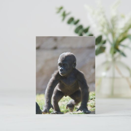 Baby Gorilla Postkarte (Stehend Vorderseite)