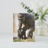 Baby Gorilla Postkarte (Stehend Vorderseite)