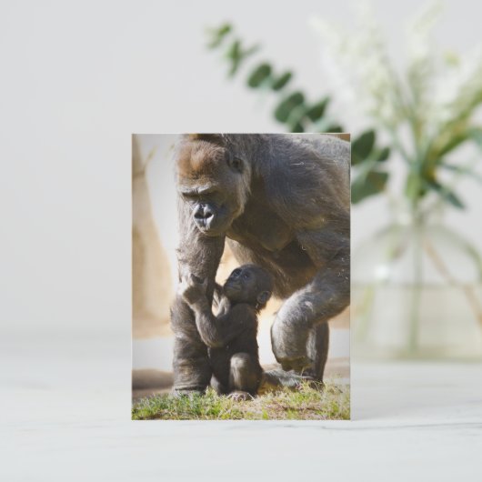 Baby Gorilla Postkarte (Stehend Vorderseite)