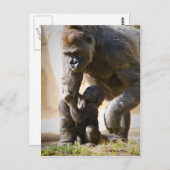 Baby Gorilla Postkarte (Vorne/Hinten)