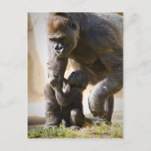 Baby Gorilla Postkarte (Vorderseite)