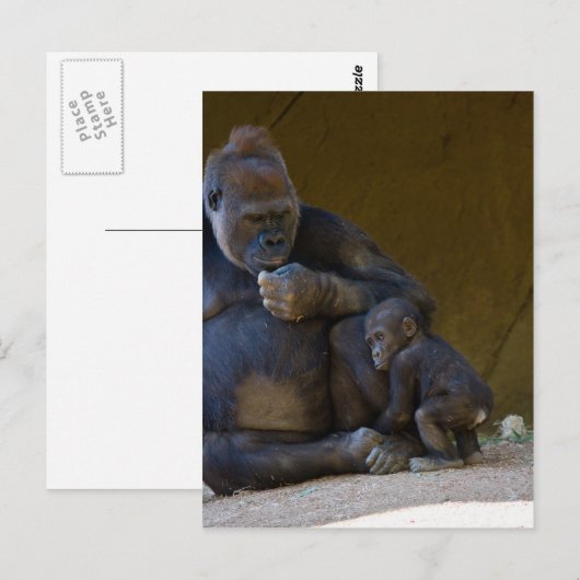 Baby Gorilla Postkarte (Vorne/Hinten)