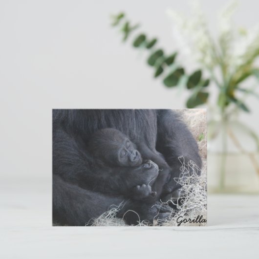 Baby Gorilla Postkarte (Stehend Vorderseite)