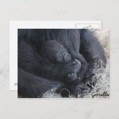 Baby Gorilla Postkarte (Vorne/Hinten)