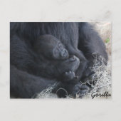Baby Gorilla Postkarte (Vorderseite)
