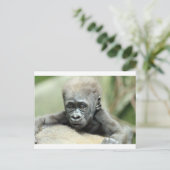 BABY GORILLA RELAXING POSTKARTE (Stehend Vorderseite)