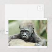 BABY GORILLA RELAXING POSTKARTE (Vorne/Hinten)