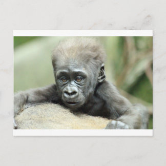 BABY GORILLA RELAXING POSTKARTE