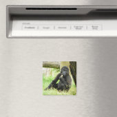 Baby Gorilla Snacking Magnet (In Situ (Geschirrspüler))