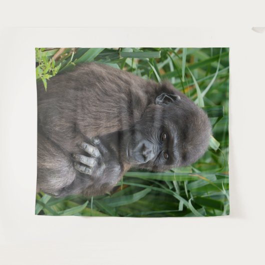 Baby Gorilla Wandteppich (Vorderseite (Horizontal))