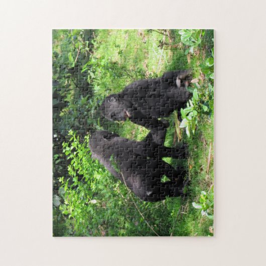 Baby Gorillas Playing Puzzle (Vertikal)