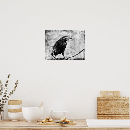 Baby Grackle Poster (Küche)