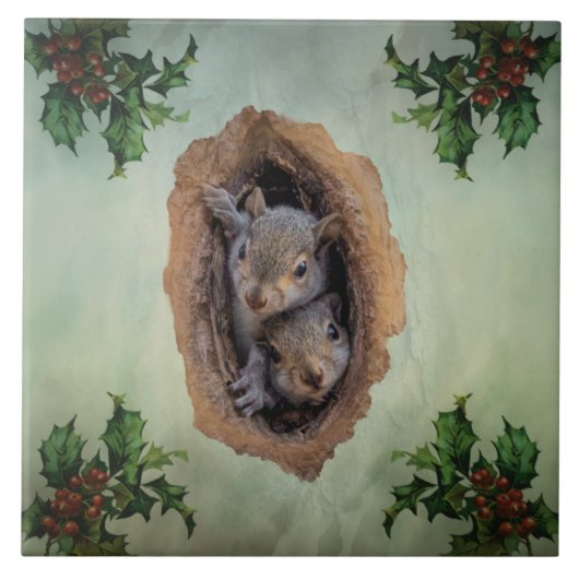 Baby Gray Eichhörnchen Weihnachten Fliese (Vorderseite)