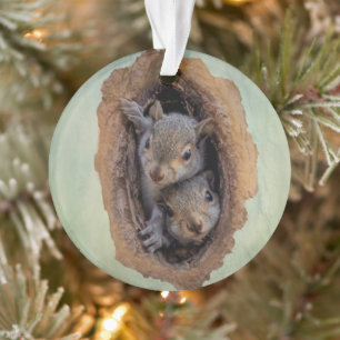 Baby Gray Eichhörnchen Weihnachten Ornament