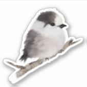 Baby Gray Jay Bird Custom-Cut Vinyl Sticker (Vorderseite)