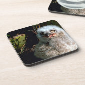 Baby Great Horned Owl Untersetzer (Linke Seite)