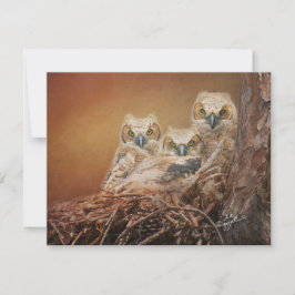 Baby Great Horned Owls Wildlife Fotografy Mitteilungskarte