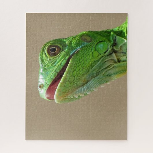 Baby Green Iguana Puzzle (Vertikal)