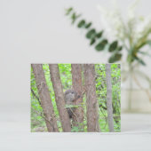 Baby Groundhog Postcard Postkarte (Stehend Vorderseite)