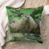 Baby Groundhogs - Woodchucks - Grundsows Kissen (Decke)